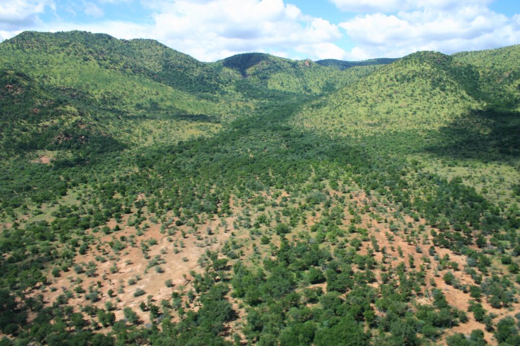 Pilanesberg Game Reserve