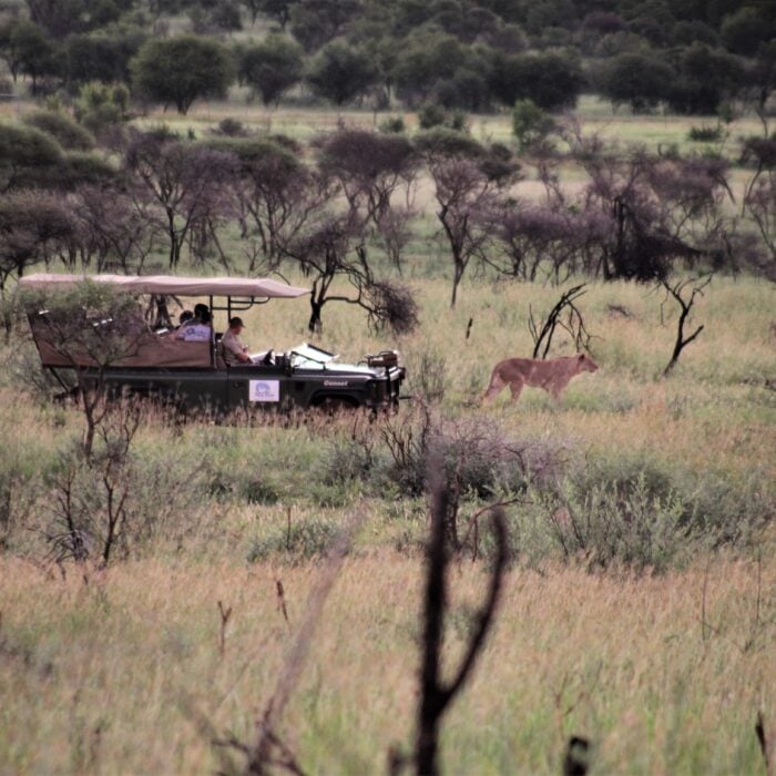 Game drive 1