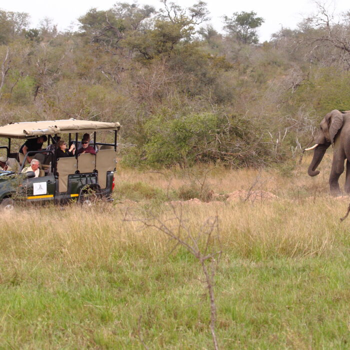 Access to Safari Vehicles