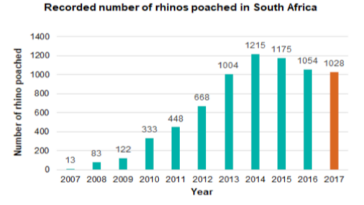 Rhino stats
