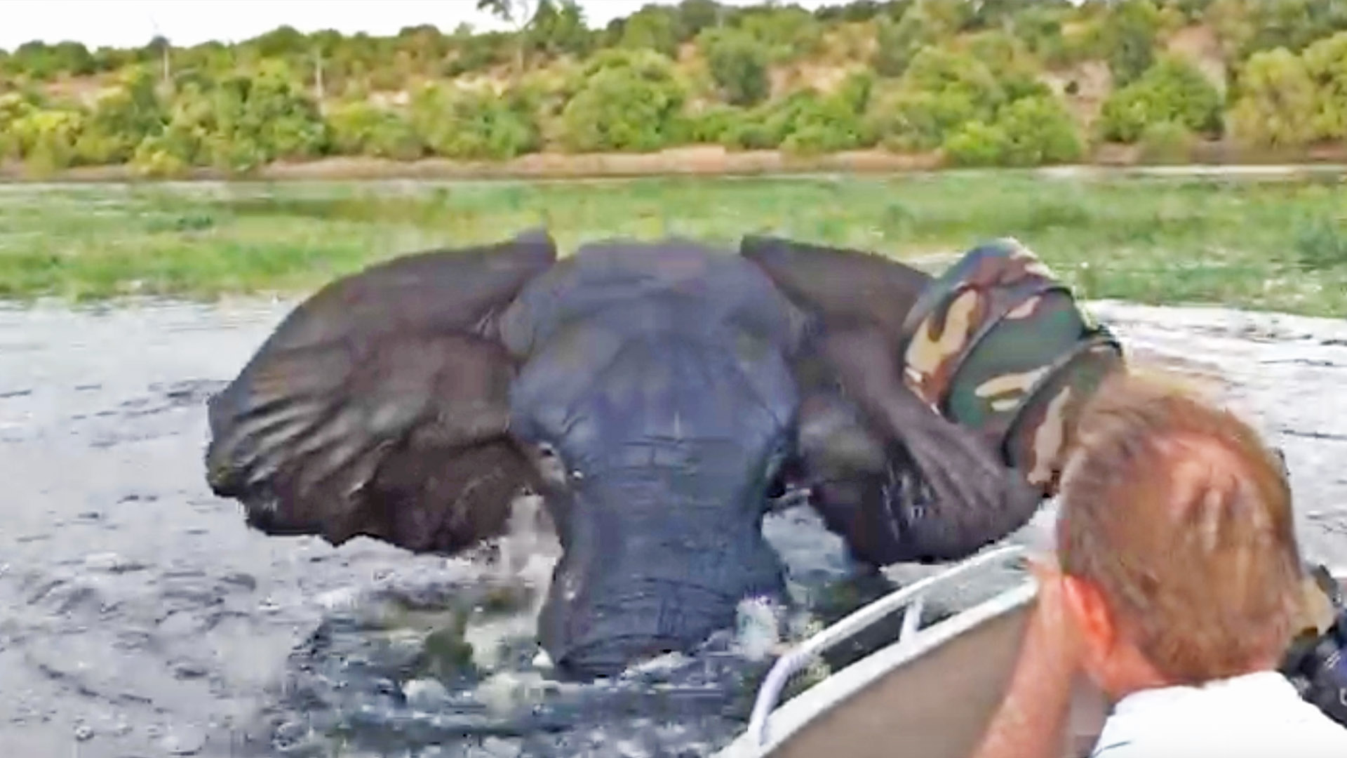 Elephant Charges & Hits Boat
