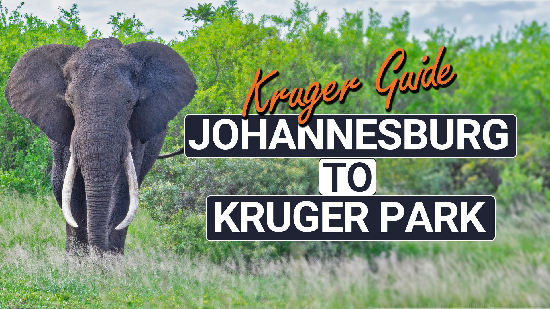 How to get from Johannesburg to Kruger National Park – Beginner’s guide