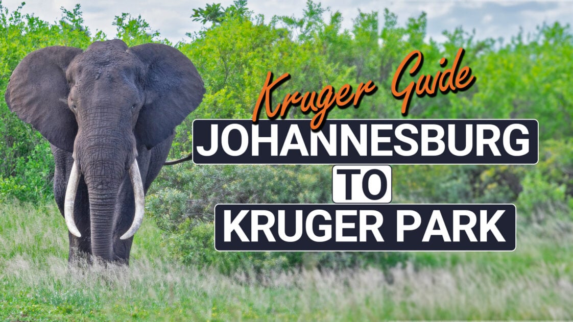 Bus From Johannesburg Airport To Kruger National Park latestsightings.com