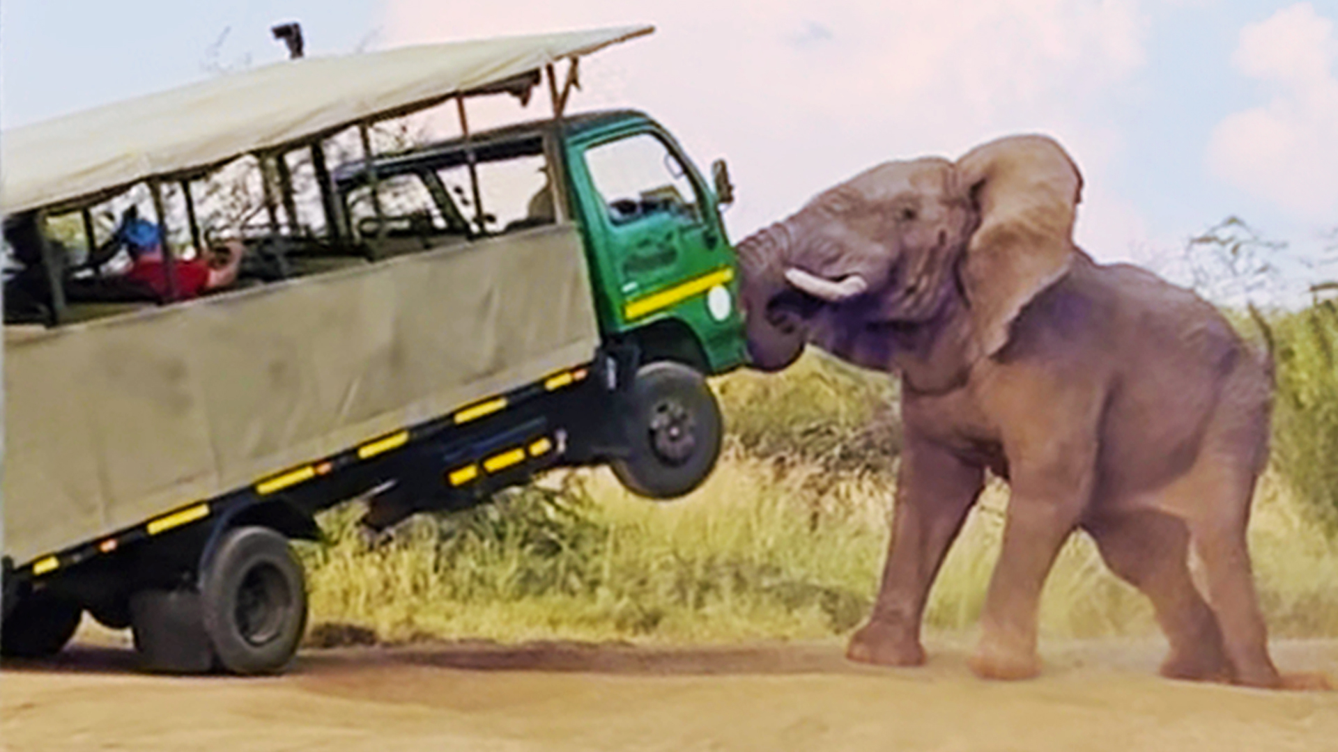 Elephant Almost Flips Truck full of Tourists