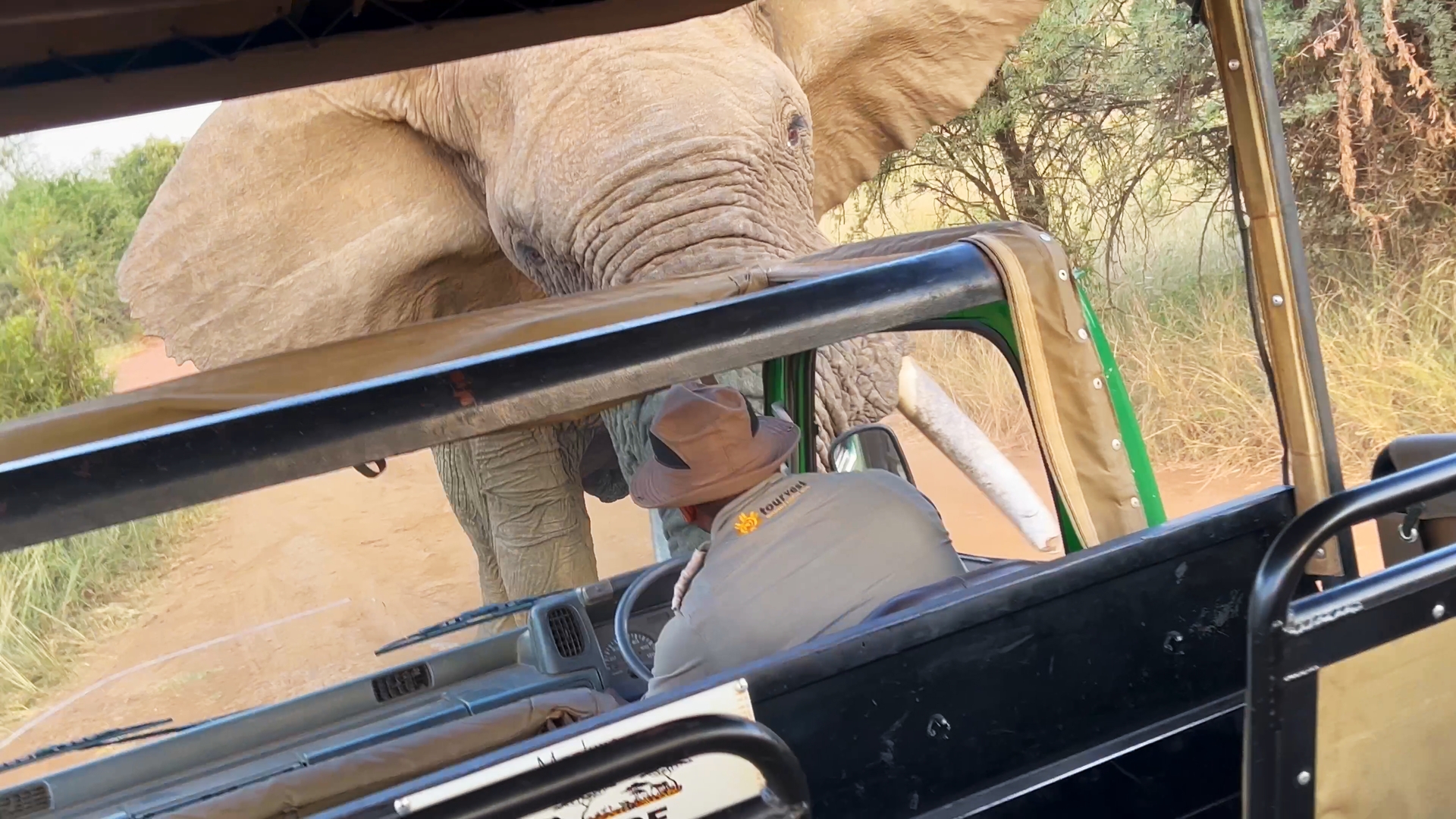 Watch Elephant Pick Up A Truck Load Full Of Tourists