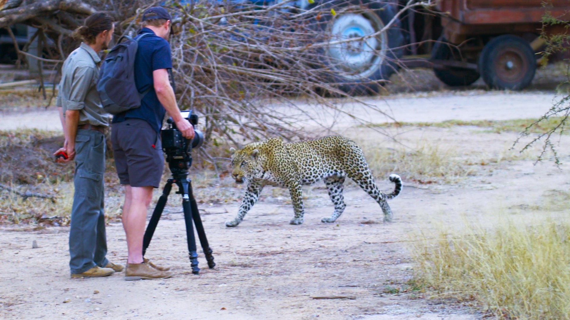 In Africa, Whatever You Do, Don’t Run