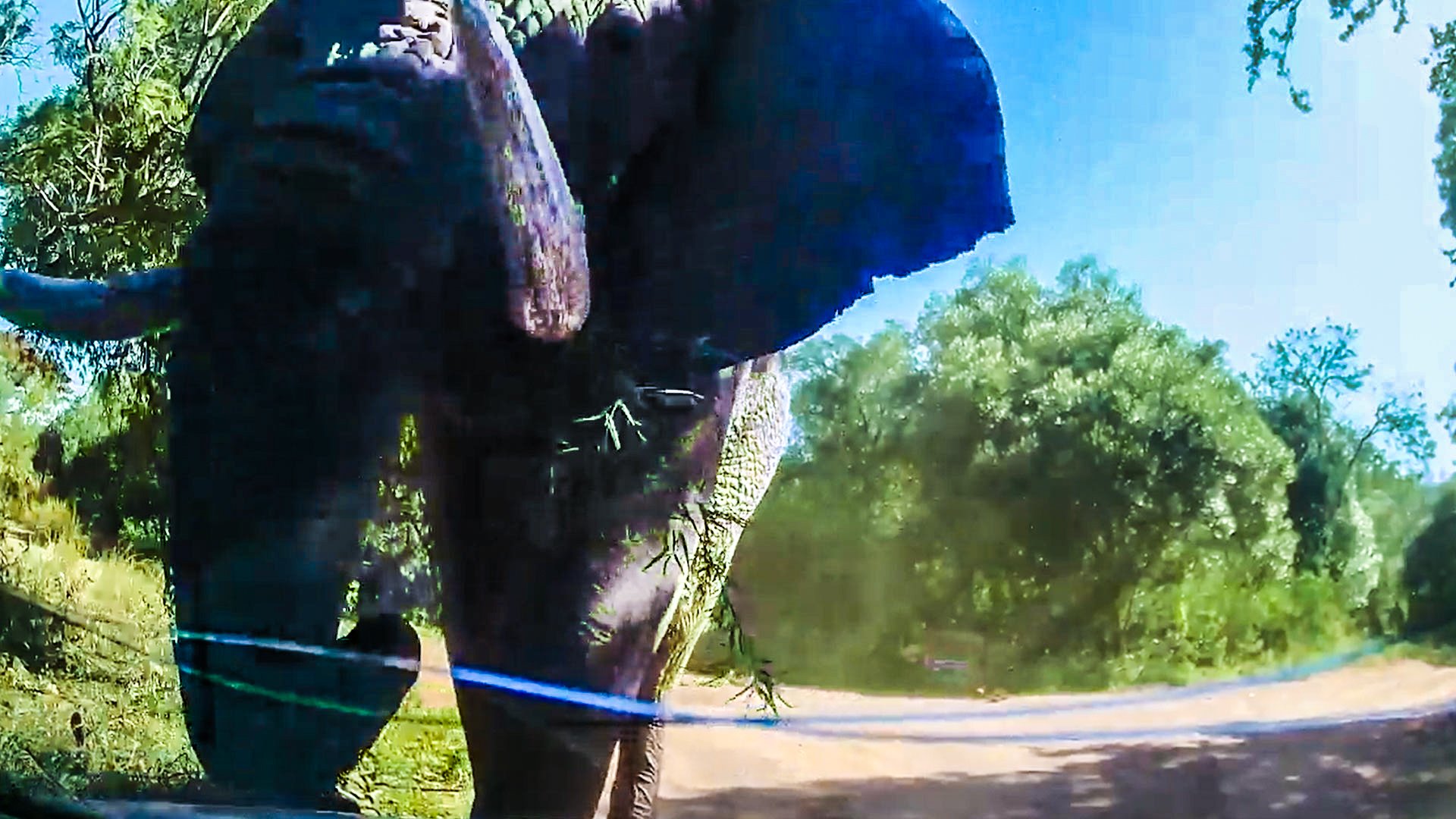 Angry Elephant Wrecks Safari Car