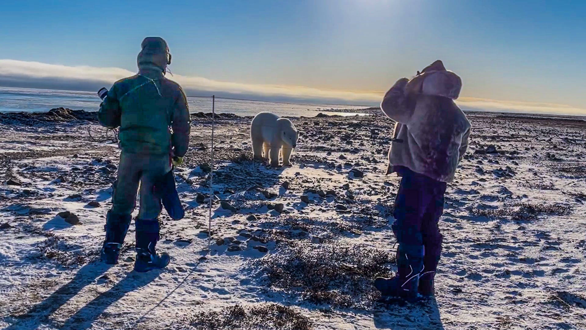 Polar Bear Creeps Close To Shocked Photographers