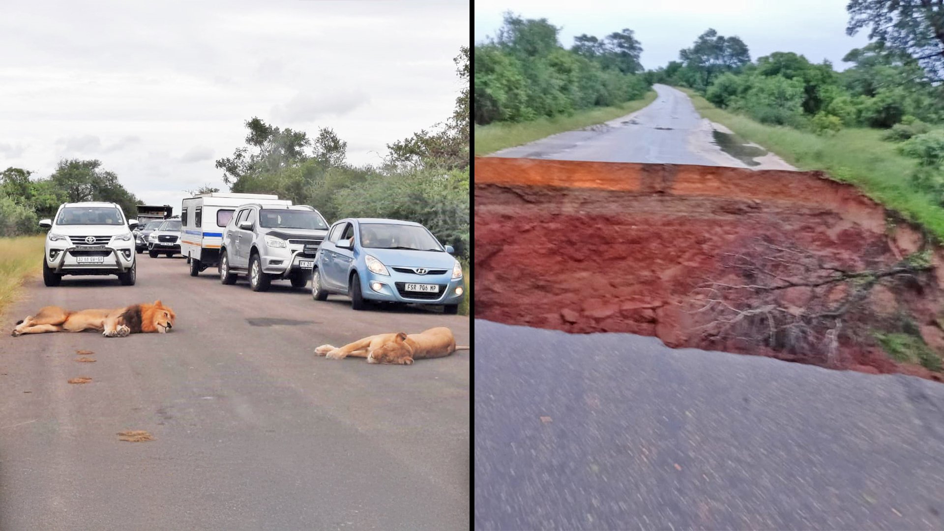 What It Takes to Restore Kruger National Park After Flooding