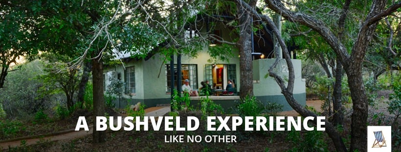 Burchell’s Bush Lodge Issues Flood Update and Reassures Guests