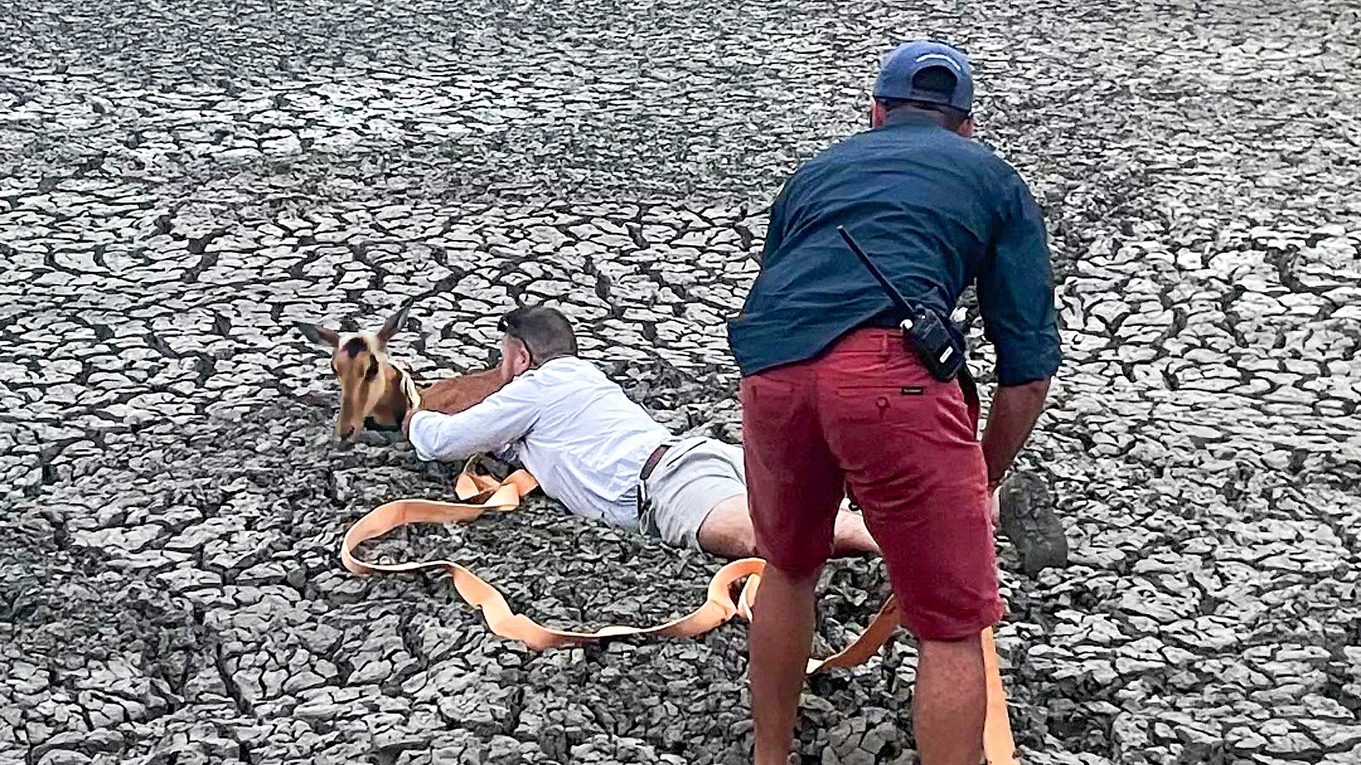 Two People Rescue Impala Trapped in Deep Mud