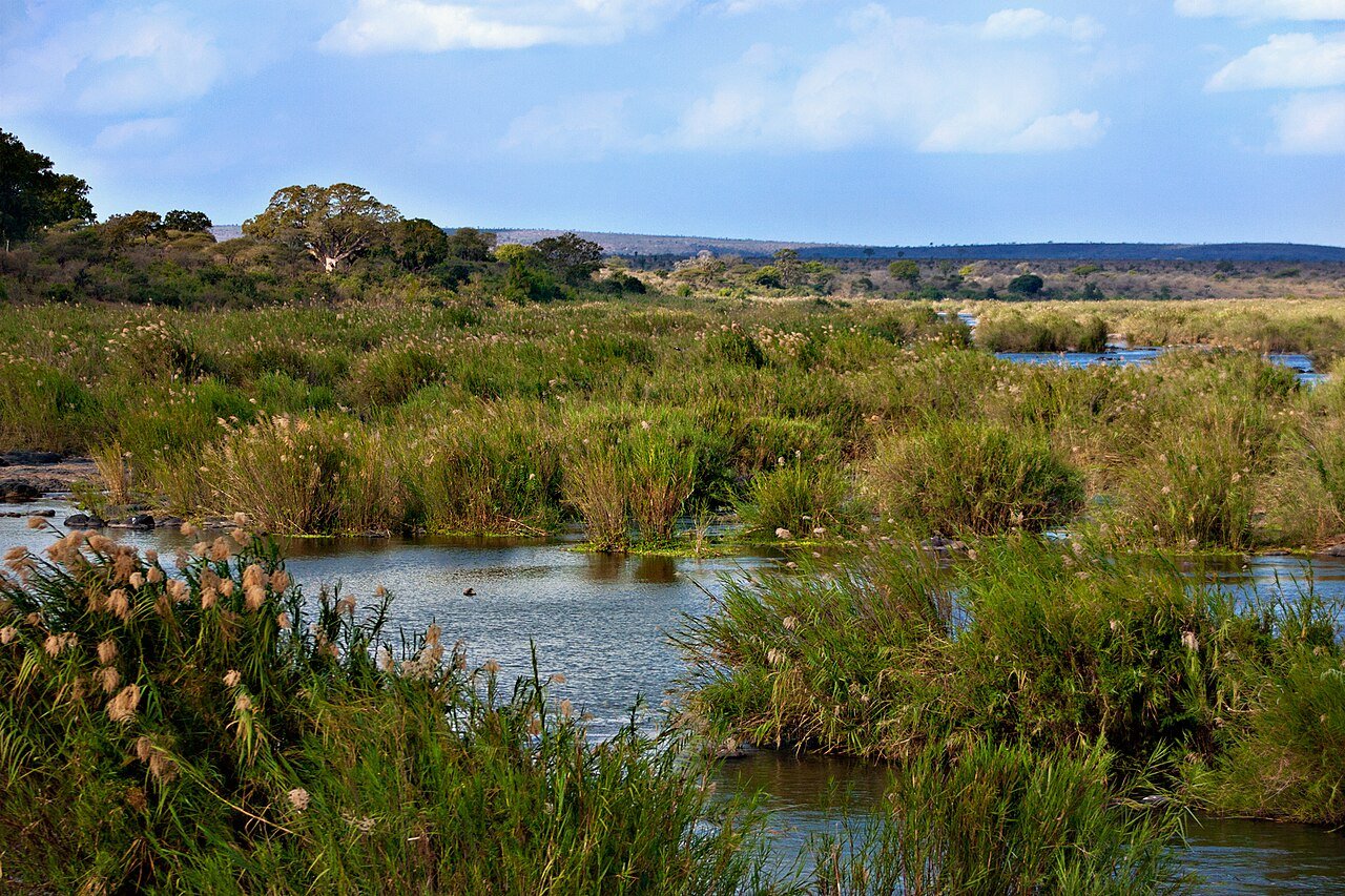 Africa Leads New Wetlands Action Plan, Offers Lessons for South African Parks
