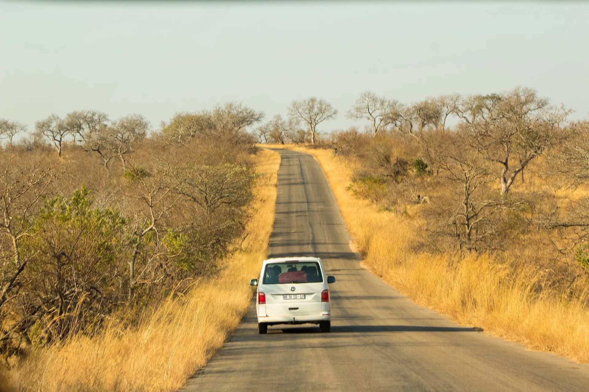 Latest Camps & Roads Update from Kruger Park