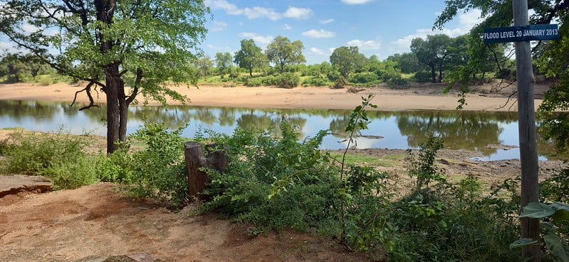 SANParks Announces Imminent Reopening of Shingwedzi Camp