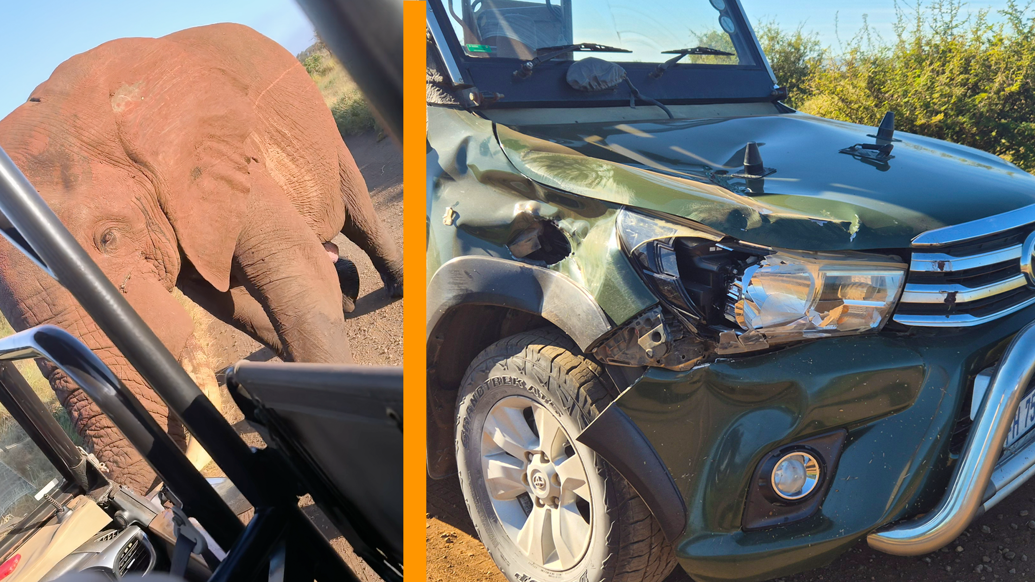 Calm Elephant Bull Turns Aggressive in a Second
