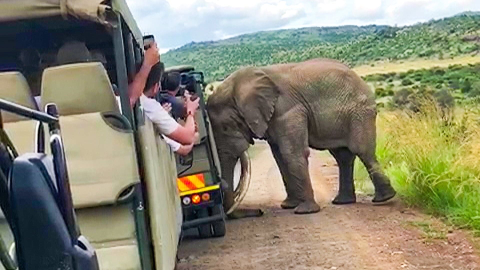 Elephant Thinks About Tipping Over a Vehicle