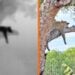 Teslong Thermal Camera - The Way to Spot Literally Everything!