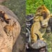 THE BEST ANIMAL SIGHTINGS OF 2022